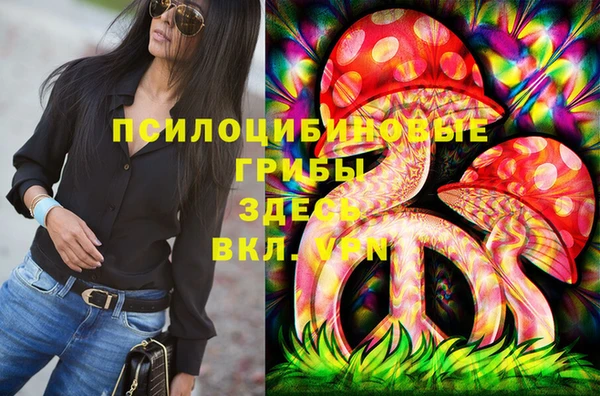 метадон Армянск