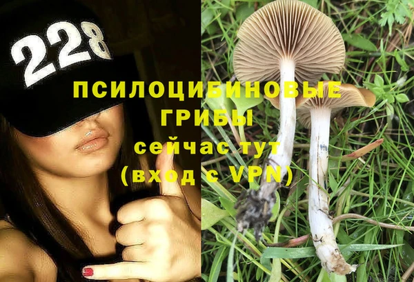 ECSTASY Сафоново