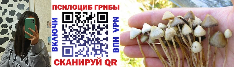 Псилоцибиновые грибы Magic Shrooms Арск
